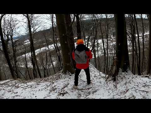 Bieszczadzki trakt leśny nad Sanem