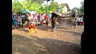 preview picture of video 'Barongan WTB Tanjungmojo Kendal,,,,Kesurupan,,,2012-10-15-15-51-43.mp4'