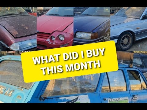 Kingatow Crew #113 Yard Tour and a huge month buying Classic Cars XR8,Skyline,VL & HR wagon and more