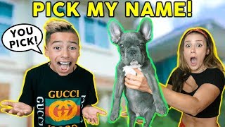 LETTING Our SUBSCRIBERS Pick Our PUPPY&#39;S NAME! *HELP US* | The Royalty Family