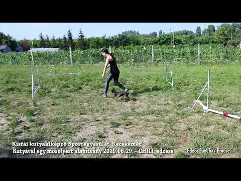 Chili agility edzésen 2019. 06. 29.
