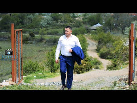 Vilson Zani - Zerecin e kam ne shpirt (Official Video 4K)