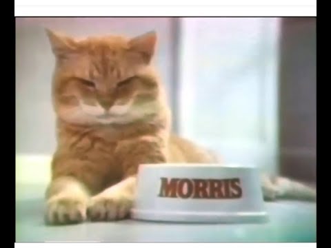 9-Lives Cat Food 'Morris' Horoscope' Commercial (1978)