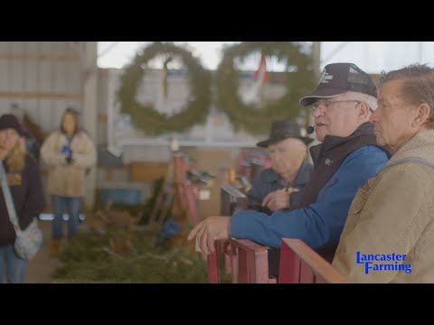 Clarence Shirk Auction