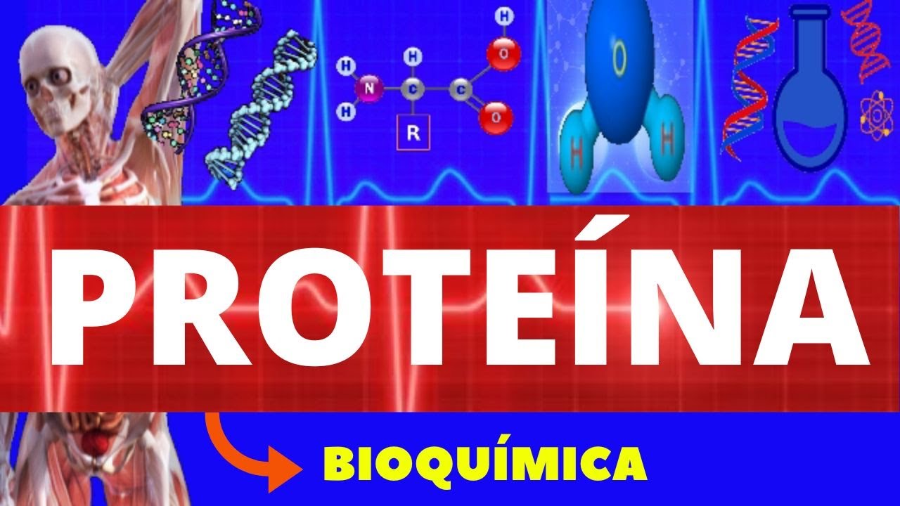 PROTEÍNAS - BIOQUÍMICA (ENSINO SUPERIOR) - COMPOSTOS ORGÂNICOS - ESTRUTURAS, FUNÇÕES E AMINOÁCIDOS