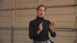 Dog Training : How to Train Dog Not to Bark at Visitors