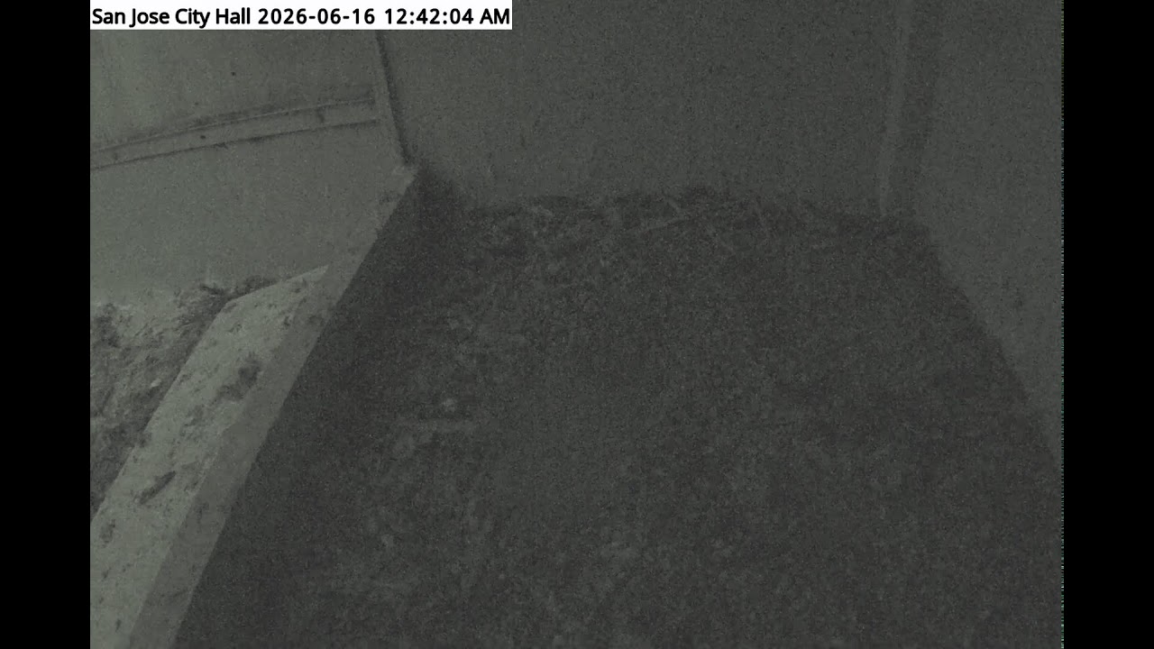 Live webcam view of San Jose City Hall Falcon Nest Box