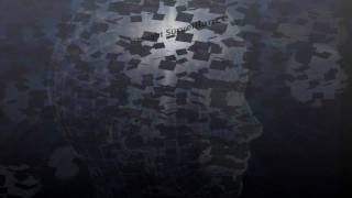 Mind reading, Neural Decoding, Synthetic Telepathy, Targeted Individuals Europe