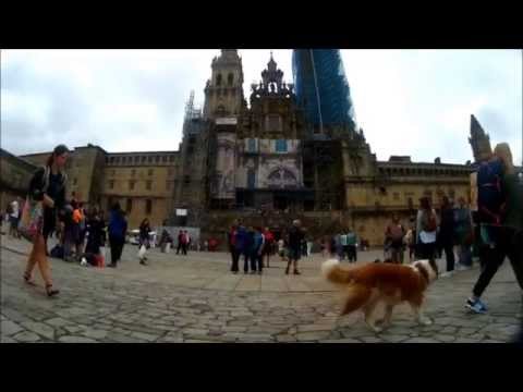 Camino de Santiago 2ª parte. Barbadelo - S. de Compostela