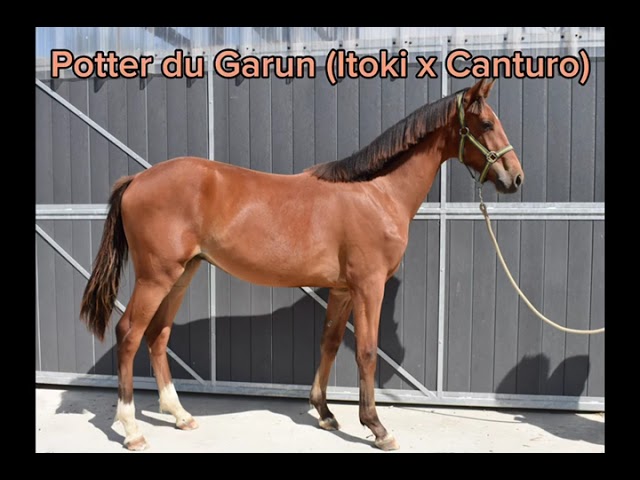 &Agrave; vendre!? Potter du Garun?&zwj;♂️ 