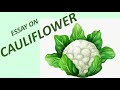 Essay On Cauliflower In English For Kids Amazing Facts About Cauliflower 10 Lines On Cauliflower