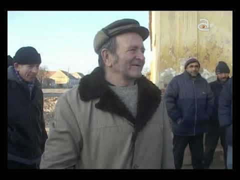 Navetistul Banatean - Livezile