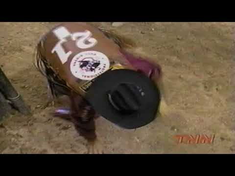 Boom Shacalaca bucks Tater Porter - 98 PBR Finals