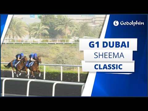 Saeed bin Suroor | G1 Dubai Sheema Classic preview
