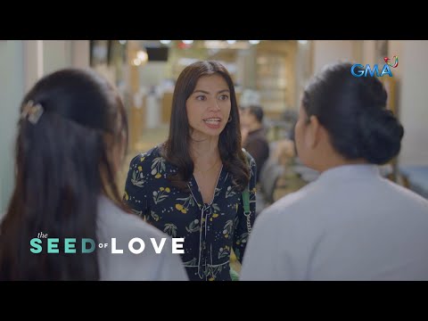 The Seed of Love: Accusing the loyal wife of infidelity (Episode 33)