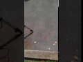 Eclipse Shadow bands