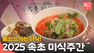 몸소 느끼는 미식! / 강원매거진7 / [2025 속초 미식주간] / G1방송 / 251114