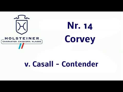 Holsteiner Körung 2019 - Nr. 14 Corvey