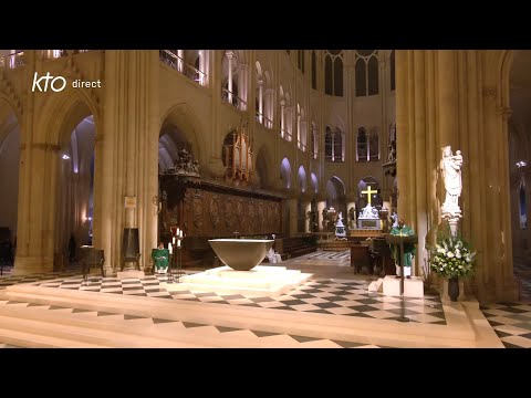 Messe du 15 novembre 2025 à Notre-Dame de Paris