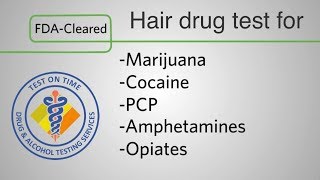 Hair testing for drugs