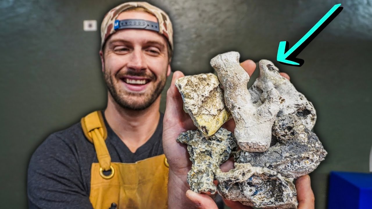 A Mineralized Fossil?! Let's cut AGATIZED CORAL!