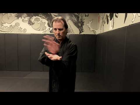 Wing Chun Kung Fu Demonstration
