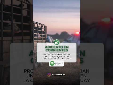 🚨 Abigeato en Corrientes: productores denuncian una “zona liberada” en la costa del río Uruguay