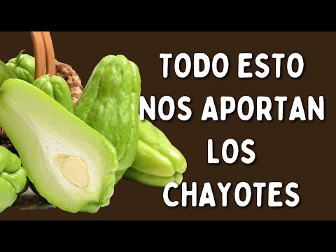 , title : 'Todos Los Beneficios Del Chayote, Cidra Papa, Zapallo Japones, Tayota, Papa Del Aire O Papa De Pobre'