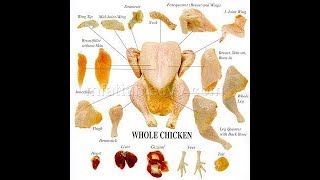 Bagian Daging Ayam