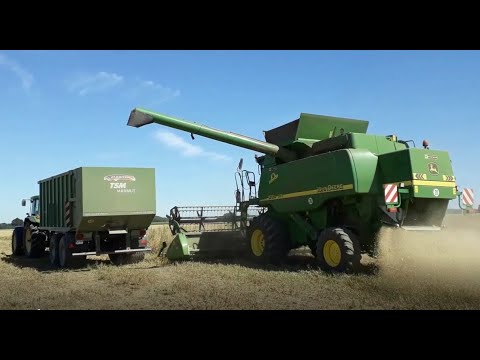 Harvesting peas and faba beans - practical tips