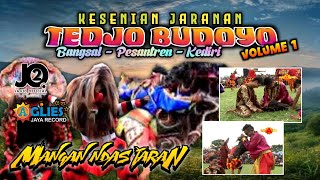 Download lagu Jaranan Tedjo Budoyo volume 1 mp3