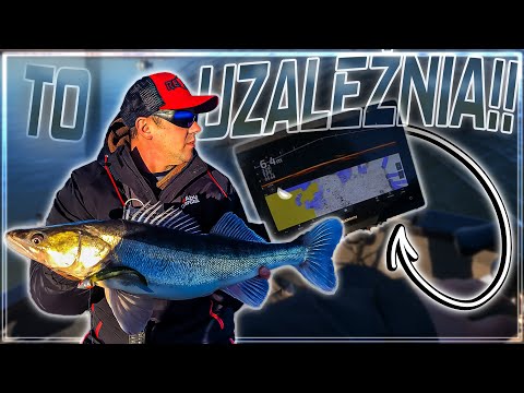 POLSKIE SANDACZE z ZAPORÓWKI Łowienie przy użyciu Echosondy Garmin z Livescope