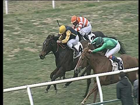 Galoppo 19/02/2019 - 3ª corsa