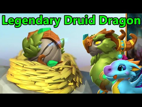 DRUID DRAGON HATCHING! DotM & LOYAL DRAGON Hatching + Battles! - DML #1449