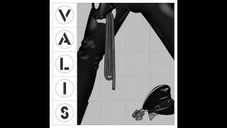 VALIS - 05 Schadenfreude