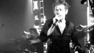 THIEFAINE - Autorisation de délirer / Alligators 427 (live)