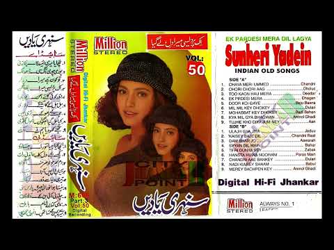 TUJHE KHO DIYA HUM NE (AAN)