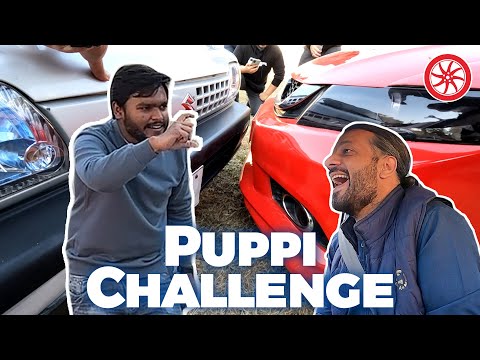 Puppi ... OHO Matlab Key Parallel Park Challenge!