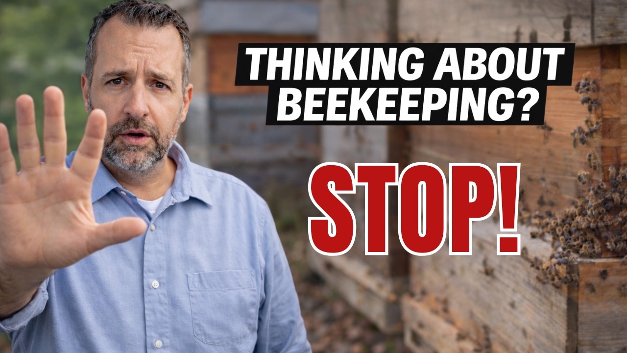 Do NOT Become a Beekeeper (5 Reasons Why) 🐝