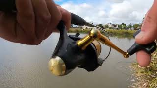 Fishing and Hunting BIG CARP