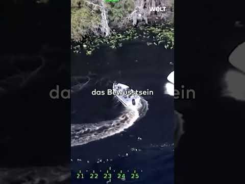 DRAMATISCHE RETTUNG IN FLORIDA:  Bewusstloser Skipper kreist mit Boot – Helfer springt an Bord!