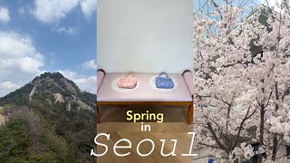 【韓国在住日本人Vlog】初めての春の韓国　お花見/登山/最新カフェ/雑貨