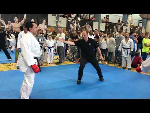 Ünal Ay vs  Ertekin Arslan  KARATE Kumite  - Part 1-   2017-06-17 WKU Int. DM Simmern