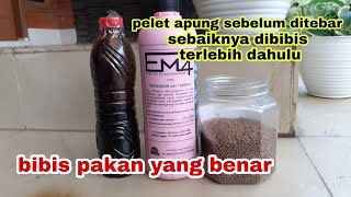 Download lagu Bibis Pelet Ikan Dengan em4 Dan Molase - Cara Bibis Pelet Ikan mp3