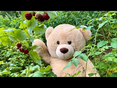 Leijona ja hiiri @Nuutti-Nallen matkassa