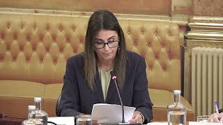 2026 04 12 - Audição: Provedora de Justiça Europeia