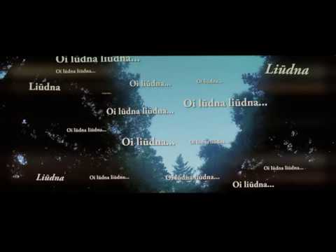 Gražvydas Sidiniauskas "Oi Liūdna Liūdna" Lietuvos partizanų daina (FOLKŠOKAS)