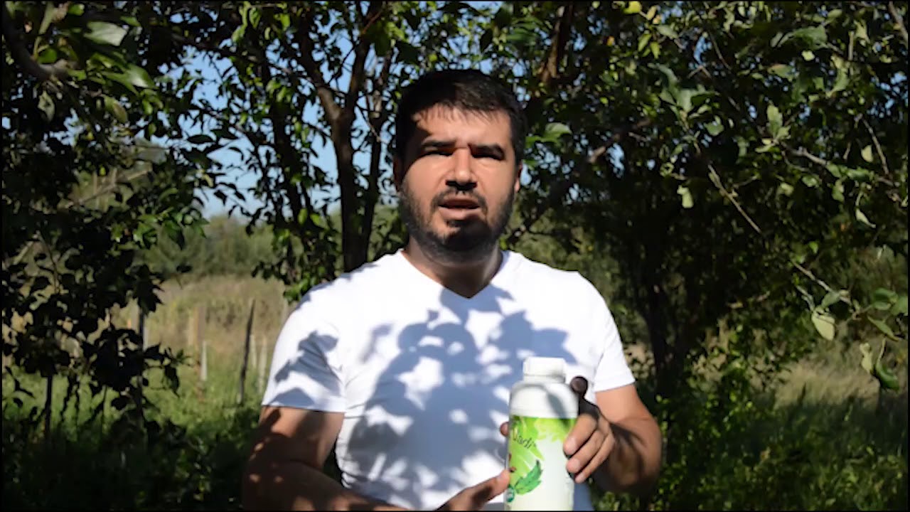 Solucan Gübresi Kullandım Bir Fark Göremedim Neden?