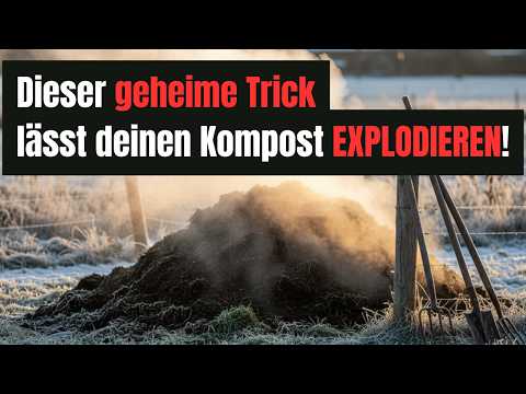 The forgotten composting trick – compost twice as fast