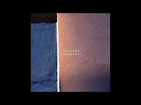 Indefinite Pitch PREMIERES. Dianthe - Ceres [Diffuse Reality Records]